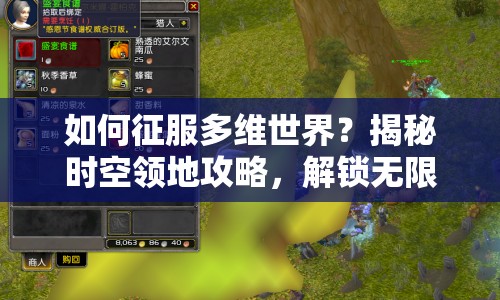 如何征服多維世界？揭秘時(shí)空領(lǐng)地攻略，解鎖無限可能！