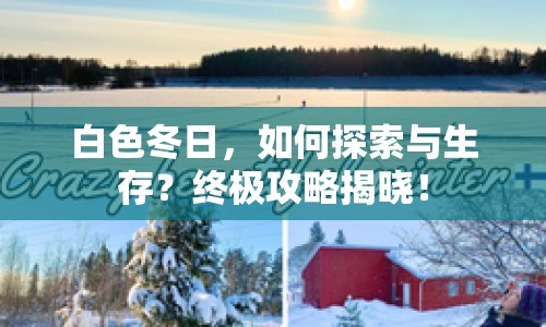 白色冬日，如何探索與生存？終極攻略揭曉！