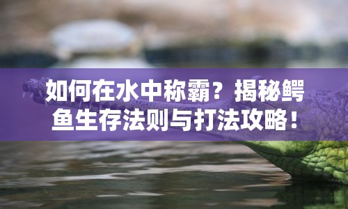 如何在水中稱霸？揭秘鱷魚(yú)生存法則與打法攻略！