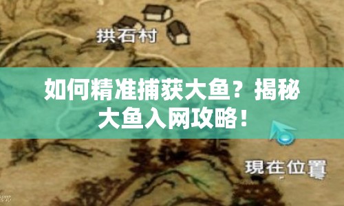 如何精準捕獲大魚？揭秘大魚入網攻略！
