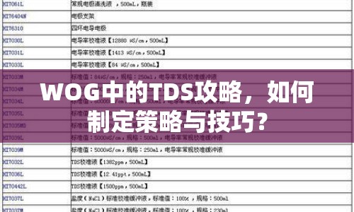 WOG中的TDS攻略，如何制定策略與技巧？