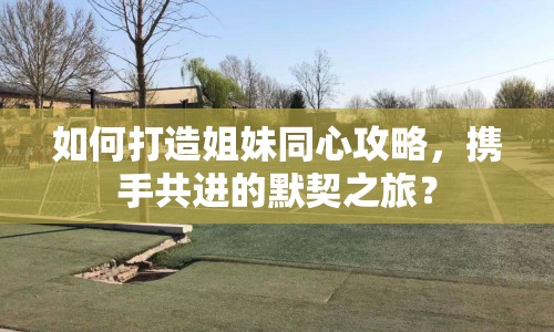 如何打造姐妹同心攻略，攜手共進(jìn)的默契之旅？