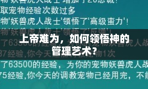上帝難為，如何領(lǐng)悟神的管理藝術(shù)？