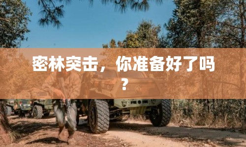 密林突擊，你準備好了嗎？