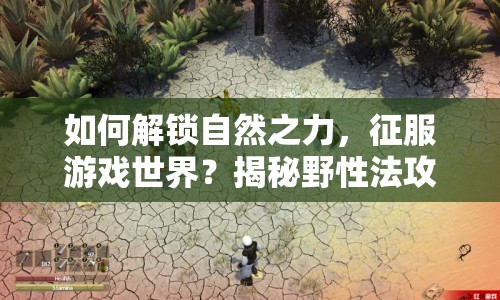 如何解鎖自然之力，征服游戲世界？揭秘野性法攻略！
