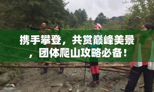 攜手攀登，共賞巔峰美景，團體爬山攻略必備！