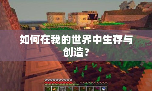 如何在我的世界中生存與創(chuàng)造？