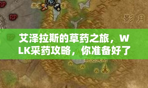 艾澤拉斯的草藥之旅，WLK采藥攻略，你準(zhǔn)備好了嗎？