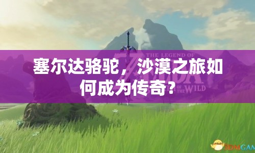 塞爾達(dá)駱駝，沙漠之旅如何成為傳奇？