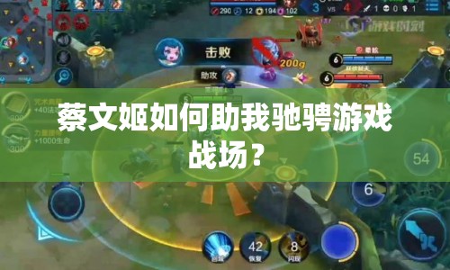蔡文姬如何助我馳騁游戲戰(zhàn)場(chǎng)？