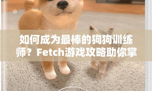 如何成為最棒的狗狗訓練師？Fetch游戲攻略助你掌握技巧！