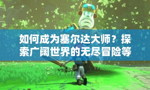 如何成為塞爾達大師？探索廣闊世界的無盡冒險等你來挑戰(zhàn)！