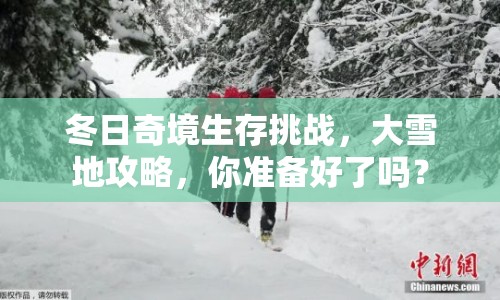 冬日奇境生存挑戰(zhàn)，大雪地攻略，你準(zhǔn)備好了嗎？