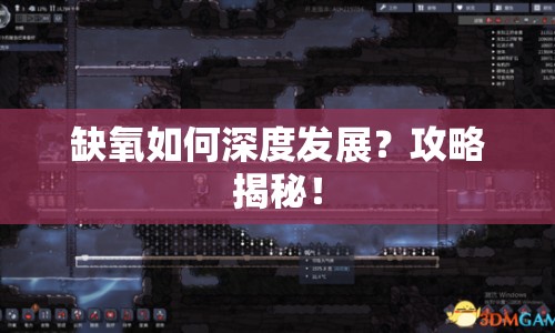 缺氧如何深度發(fā)展？攻略揭秘！
