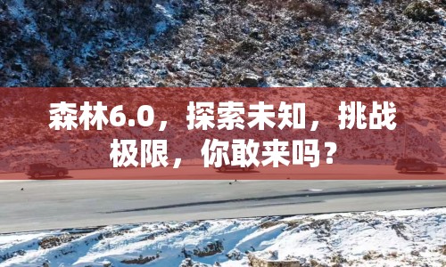 森林6.0，探索未知，挑戰(zhàn)極限，你敢來嗎？