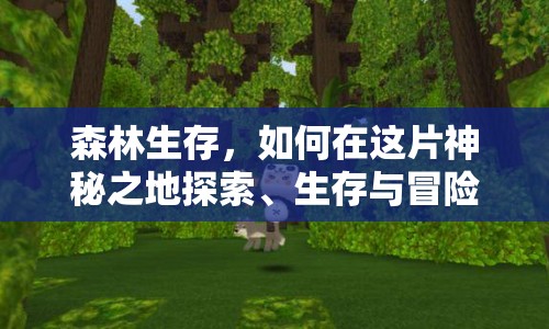 森林生存，如何在這片神秘之地探索、生存與冒險(xiǎn)？