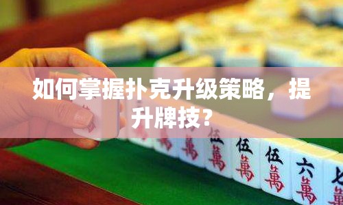 如何掌握撲克升級(jí)策略，提升牌技？