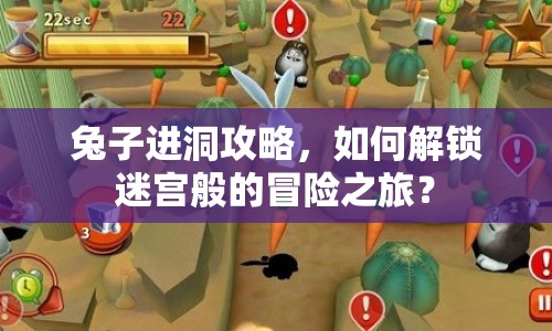 兔子進洞攻略，如何解鎖迷宮般的冒險之旅？