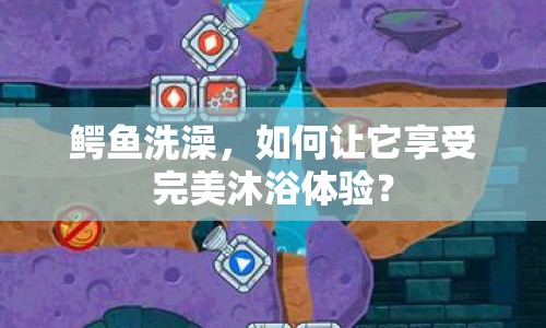 鱷魚洗澡，如何讓它享受完美沐浴體驗？