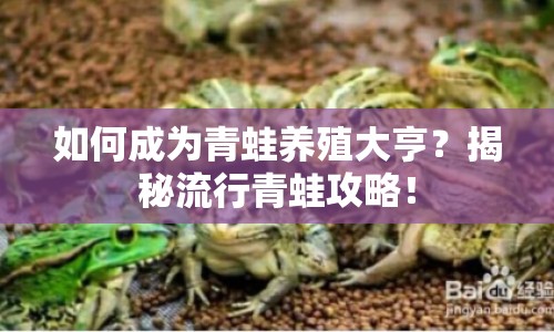 如何成為青蛙養(yǎng)殖大亨？揭秘流行青蛙攻略！