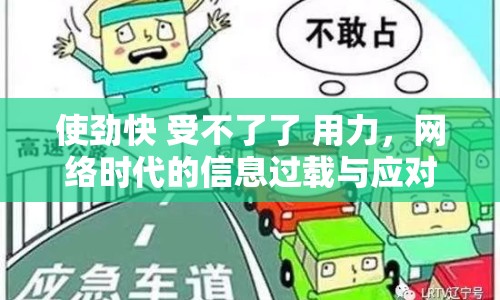 使勁快 受不了了 用力，網(wǎng)絡(luò)時代的信息過載與應(yīng)對之道