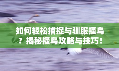 如何輕松捕捉與馴服搔鳥？揭秘搔鳥攻略與技巧！