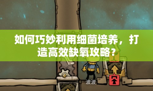 如何巧妙利用細(xì)菌培養(yǎng)，打造高效缺氧攻略？