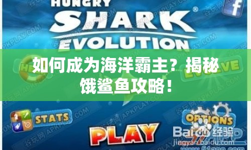 如何成為海洋霸主？揭秘餓鯊魚攻略！