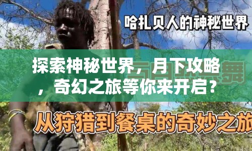 探索神秘世界，月下攻略，奇幻之旅等你來開啟？