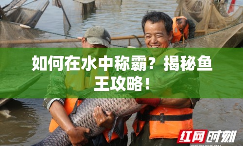 如何在水中稱(chēng)霸？揭秘魚(yú)王攻略！