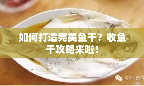 如何打造完美魚(yú)干？收魚(yú)干攻略來(lái)啦！