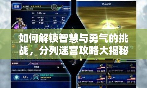 如何解鎖智慧與勇氣的挑戰(zhàn)，分列迷宮攻略大揭秘？