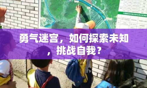 勇氣迷宮，如何探索未知，挑戰(zhàn)自我？