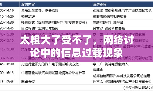 太粗大了受不了，網(wǎng)絡(luò)討論中的信息過(guò)載現(xiàn)象