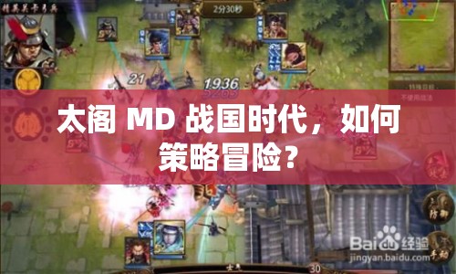 太閣 MD 戰(zhàn)國時代，如何策略冒險？