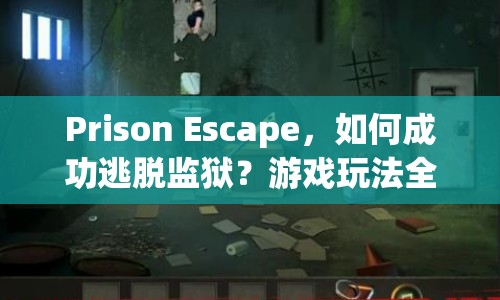 Prison Escape，如何成功逃脫監(jiān)獄？游戲玩法全解析！