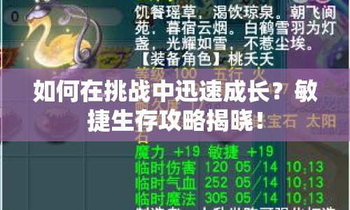 如何在挑戰(zhàn)中迅速成長？敏捷生存攻略揭曉！