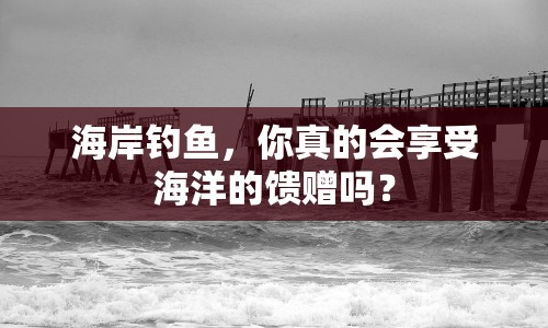 海岸釣魚，你真的會(huì)享受海洋的饋贈(zèng)嗎？