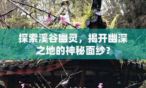 探索溪谷幽靈，揭開幽深之地的神秘面紗？