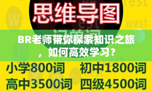 BR老師帶你探索知識(shí)之旅，如何高效學(xué)習(xí)？
