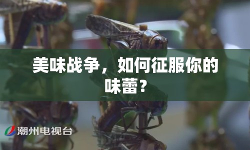 美味戰(zhàn)爭，如何征服你的味蕾？