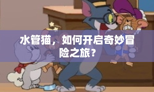 水管貓，如何開啟奇妙冒險之旅？