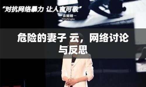 危險(xiǎn)的妻子 云，網(wǎng)絡(luò)討論與反思