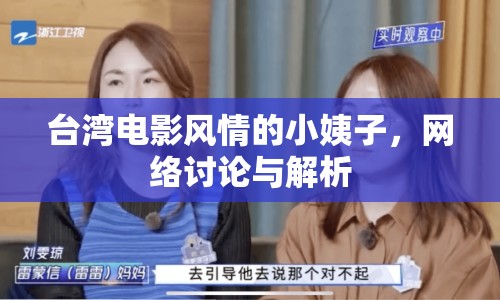 臺(tái)灣電影風(fēng)情的小姨子，網(wǎng)絡(luò)討論與解析