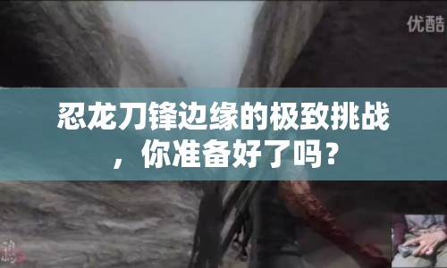 忍龍刀鋒邊緣的極致挑戰(zhàn)，你準(zhǔn)備好了嗎？