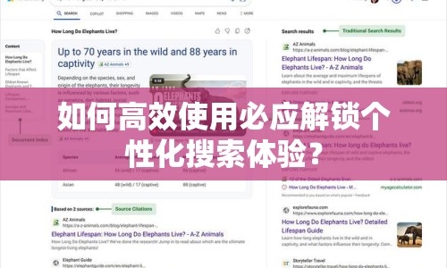 如何高效使用必應(yīng)解鎖個性化搜索體驗？