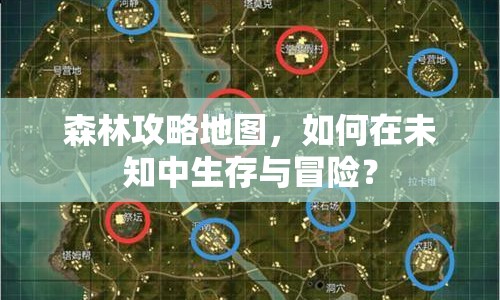 森林攻略地圖，如何在未知中生存與冒險(xiǎn)？