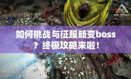 如何挑戰(zhàn)與征服畸變boss？終極攻略來啦！