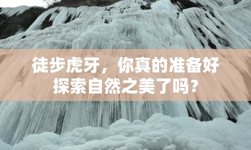 徒步虎牙，你真的準備好探索自然之美了嗎？
