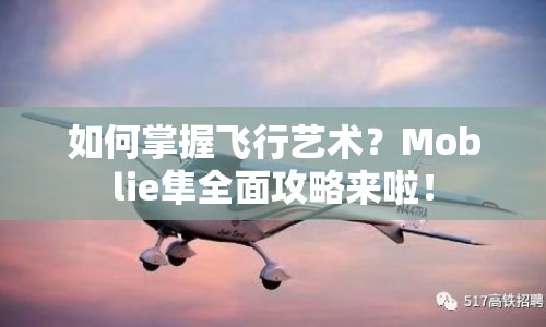 如何掌握飛行藝術(shù)？Moblie隼全面攻略來(lái)啦！
